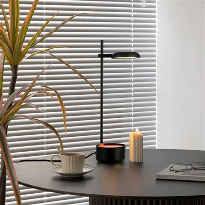 Šiuolaikinė skaitymo lempa svetainei